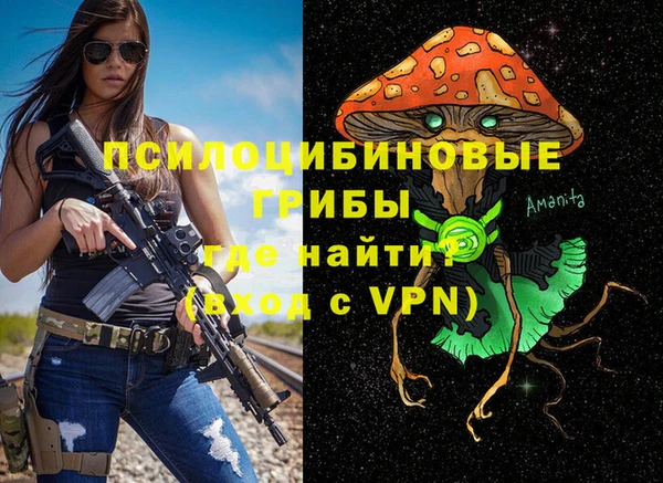 кокаин Белокуриха